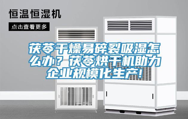 茯苓干燥易碎裂吸湿怎么办？茯苓烘干机助力企业规模化生产!