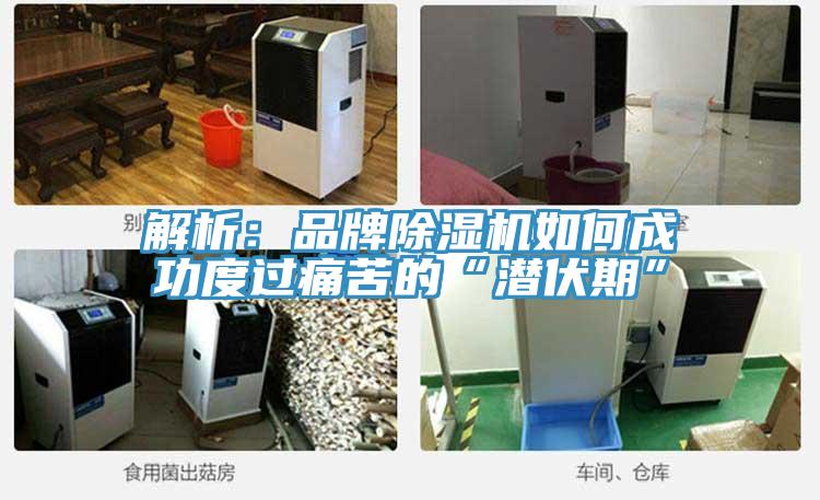 解析：品牌除湿机如何成功度过痛苦的“潜伏期”