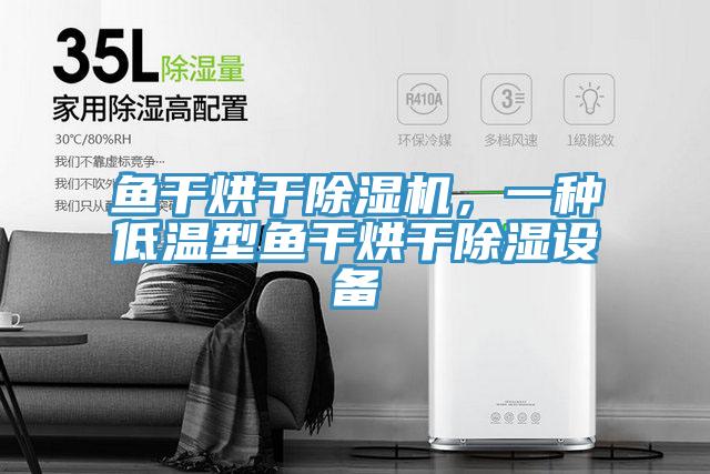 鱼干烘干除湿机，一种低温型鱼干烘干除湿设备