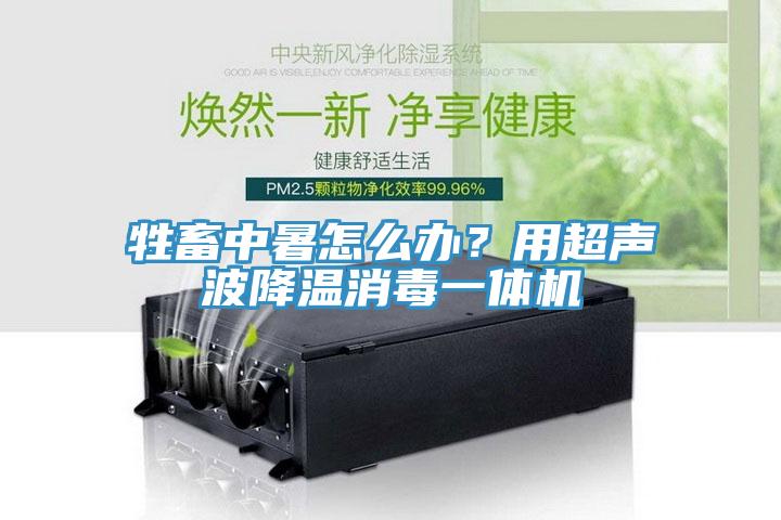 牲畜中暑怎么办？用超声波降温消毒一体机