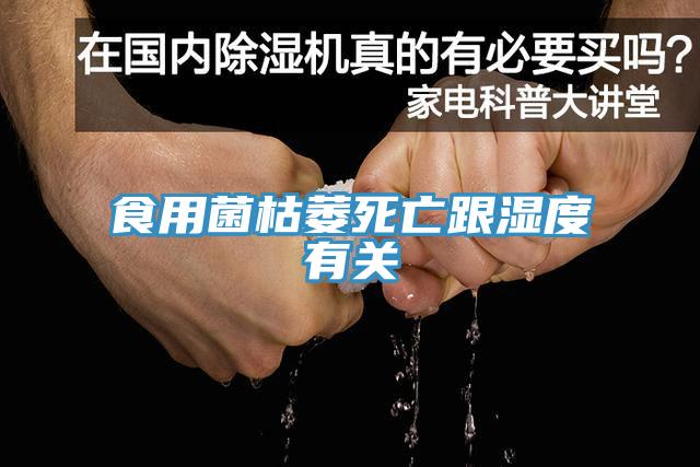 食用菌枯萎死亡跟湿度有关