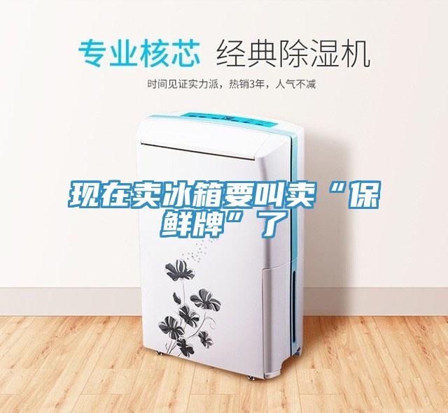 现在卖冰箱要叫卖“保鲜牌”了