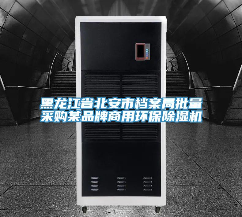 黑龙江省北安市档案局批量采购某品牌商用环保除湿机