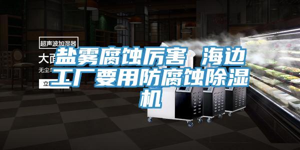 盐雾腐蚀厉害 海边工厂要用防腐蚀除湿机