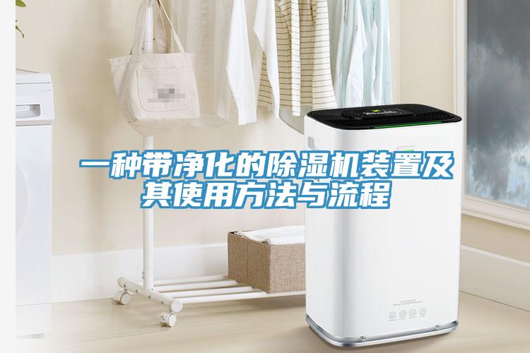 一种带净化的除湿机装置及其使用方法与流程