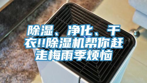 除湿、净化、干衣!!除湿机帮你赶走梅雨季烦恼