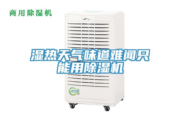 湿热天气味道难闻只能用除湿机