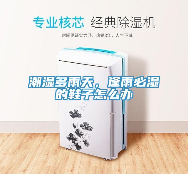 潮湿多雨天，逢雨必湿的鞋子怎么办