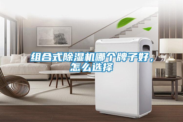 组合式除湿机哪个牌子好，怎么选择