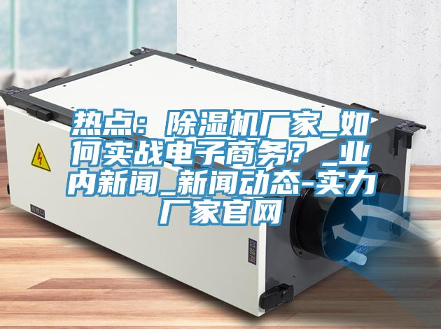 热点：除湿机厂家_如何实战电子商务？_业内新闻_新闻动态-实力厂家官网