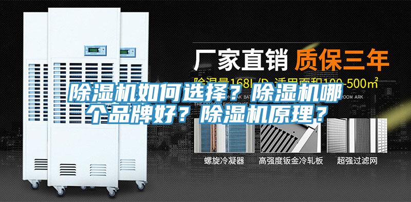 除湿机如何选择？除湿机哪个品牌好？除湿机原理？