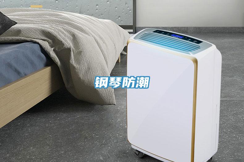钢琴防潮