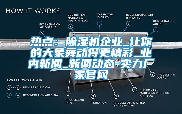 热点：除湿机企业_让你的大象舞动得更精彩_业内新闻_新闻动态-实力厂家官网