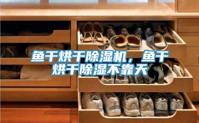 鱼干烘干除湿机，鱼干烘干除湿不靠天