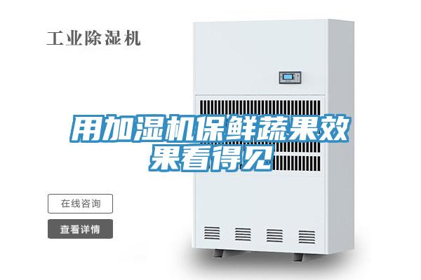 用加湿机保鲜蔬果效果看得见