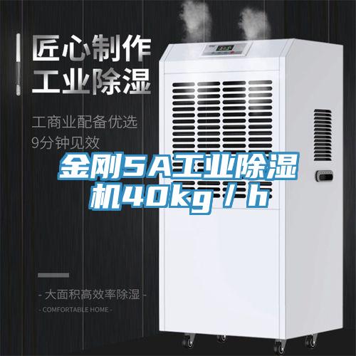金刚5A工业除湿机40kg／h