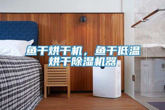鱼干烘干机，鱼干低温烘干除湿机器
