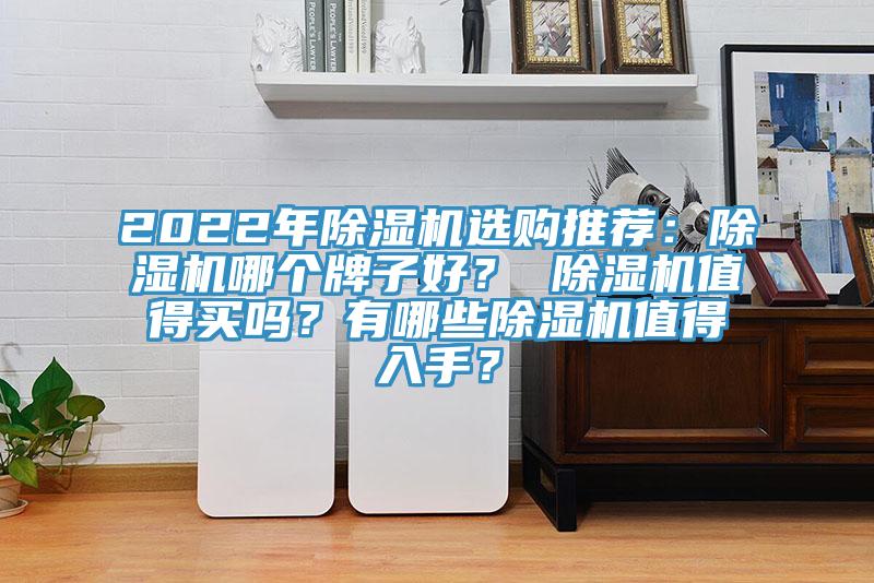 2022年除湿机选购推荐：除湿机哪个牌子好？ 除湿机值得买吗？有哪些除湿机值得入手？