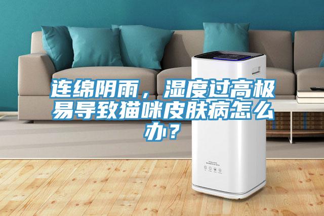 连绵阴雨，湿度过高极易导致猫咪皮肤病怎么办？