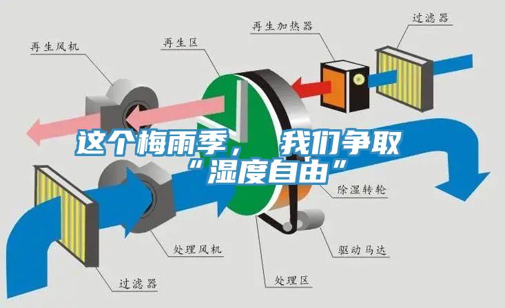 这个梅雨季， 我们争取“湿度自由”