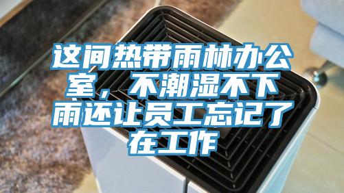 这间热带雨林办公室，不潮湿不下雨还让员工忘记了在工作