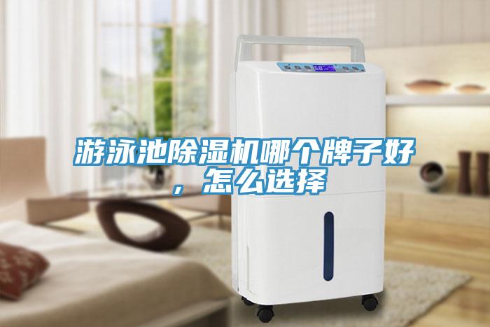 游泳池除湿机哪个牌子好，怎么选择