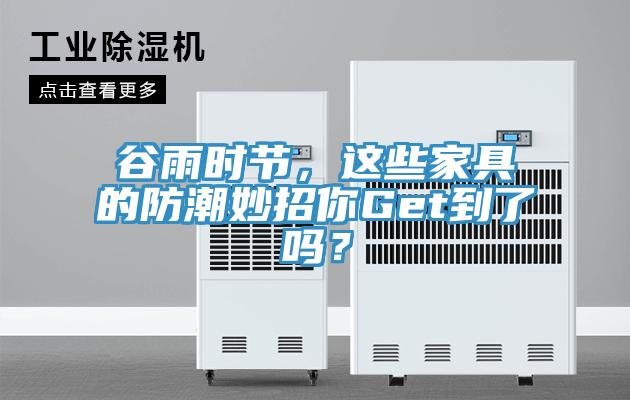谷雨时节，这些家具的防潮妙招你Get到了吗？