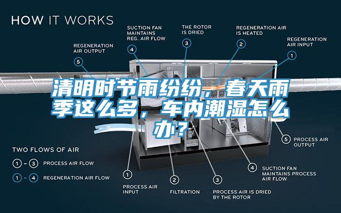 清明时节雨纷纷，春天雨季这么多，车内潮湿怎么办？
