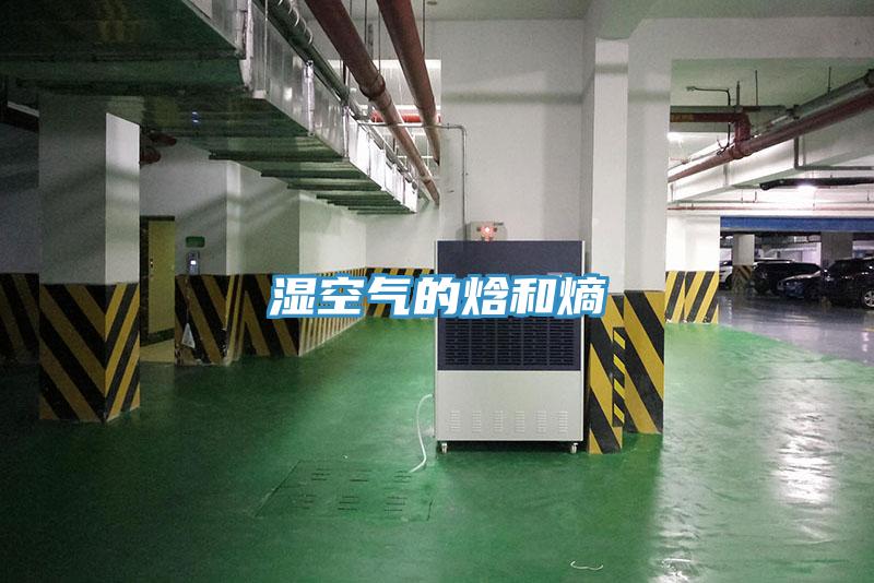 湿空气的焓和熵