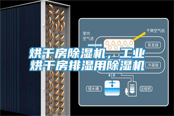 烘干房除湿机，工业烘干房排湿用除湿机