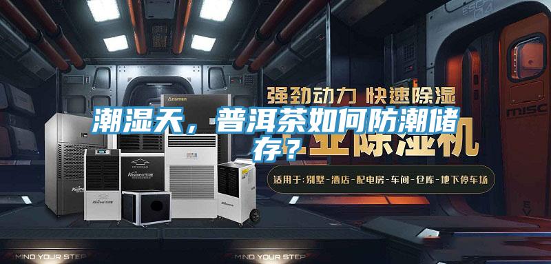 潮湿天，普洱茶如何防潮储存？