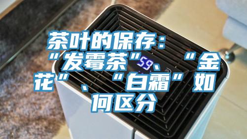 茶叶的保存：“发霉茶”、“金花”、“白霜”如何区分
