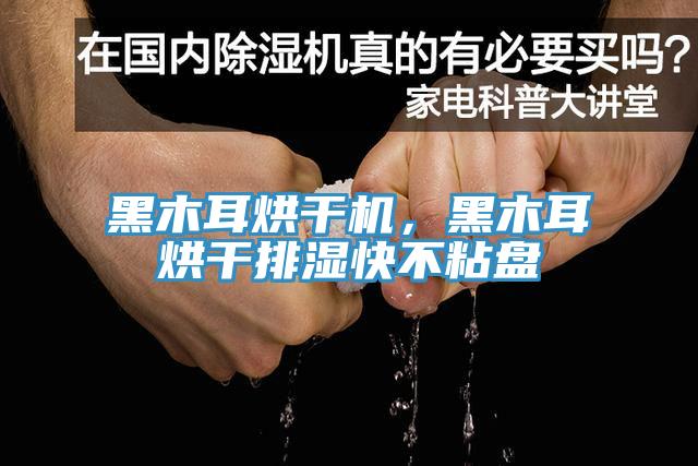 黑木耳烘干机，黑木耳烘干排湿快不粘盘