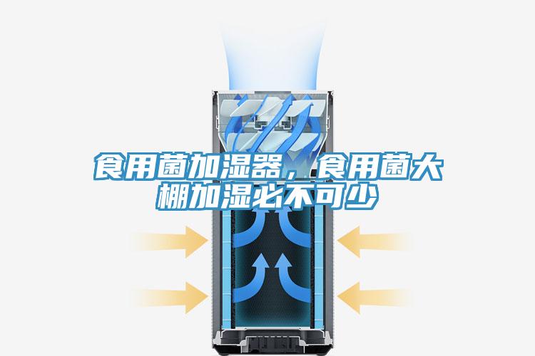 食用菌加湿器，食用菌大棚加湿必不可少