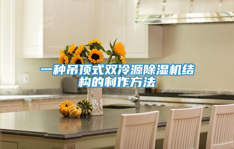 一种吊顶式双冷源除湿机结构的制作方法