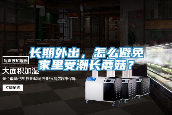 长期外出，怎么避免家里受潮长蘑菇？