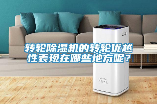 转轮除湿机的转轮优越性表现在哪些地方呢？