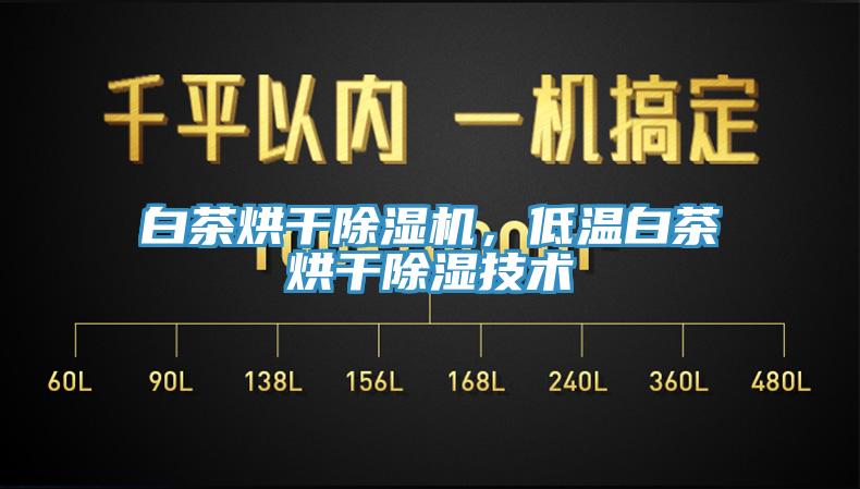 白茶烘干除湿机，低温白茶烘干除湿技术