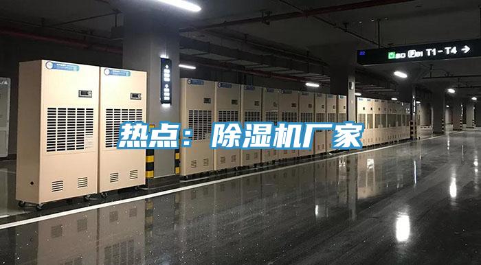 热点：除湿机厂家