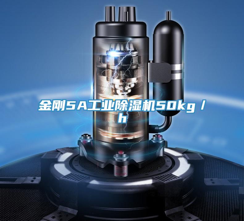 金刚5A工业除湿机50kg／h
