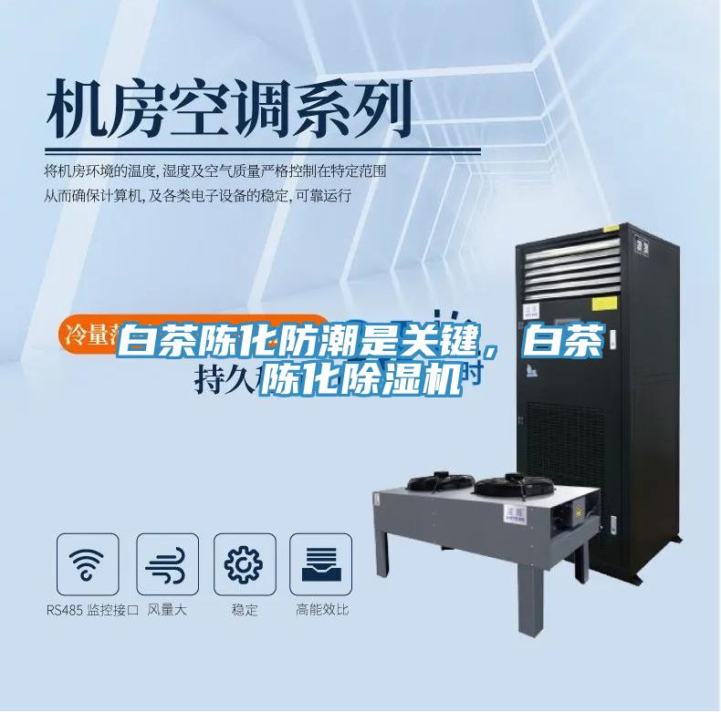 白茶陈化防潮是关键，白茶陈化除湿机