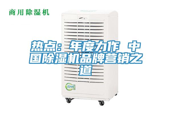 热点：年度力作 中国除湿机品牌营销之道