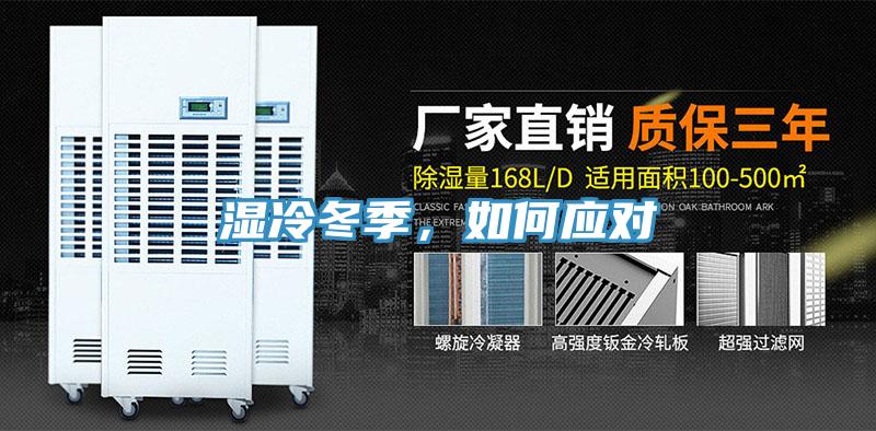 湿冷冬季，如何应对