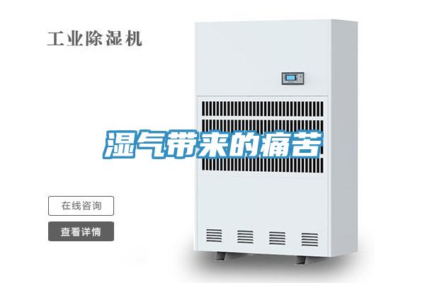 湿气带来的痛苦