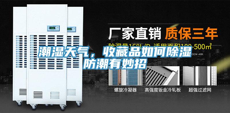 潮湿天气，收藏品如何除湿防潮有妙招