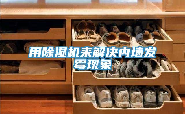 用除湿机来解决内墙发霉现象