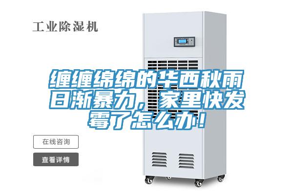 缠缠绵绵的华西秋雨日渐暴力，家里快发霉了怎么办！