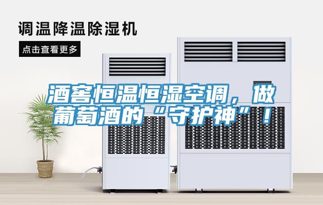 酒窖恒温恒湿空调，做葡萄酒的“守护神”！