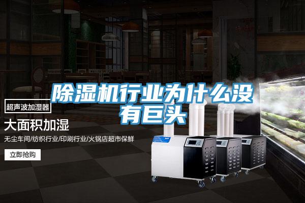除湿机行业为什么没有巨头