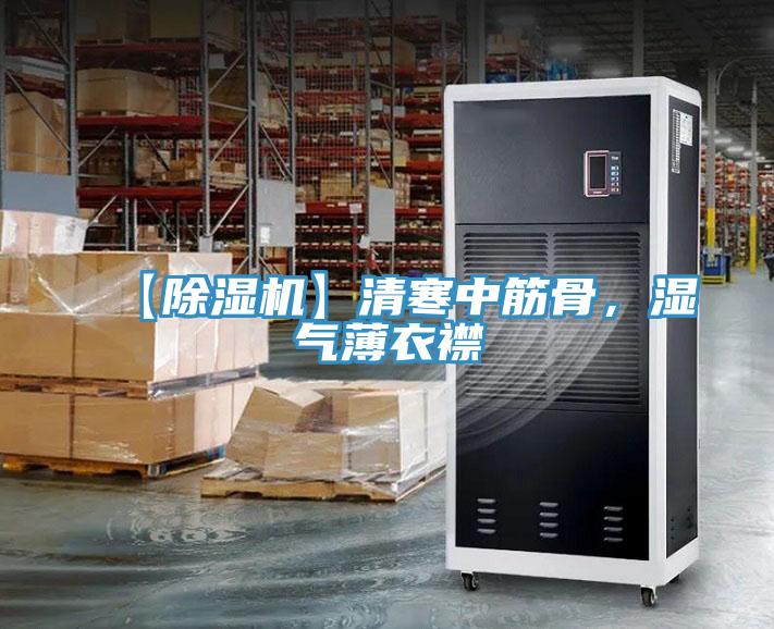 【除湿机】清寒中筋骨，湿气薄衣襟